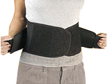 BackTrack Lumbar Support.