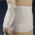 elastic back support with removable back pad